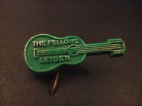 The Fellows Leidse coverband , gitaar